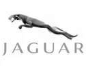 Jaguar Logo